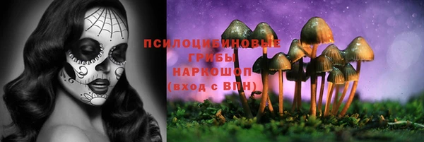 винт Арсеньев