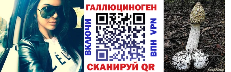 Псилоцибиновые грибы Magic Shrooms  mega tor  Любань 